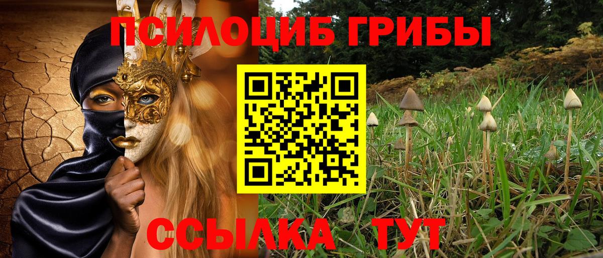 Псилоцибиновые грибы GOLDEN TEACHER Семёнов