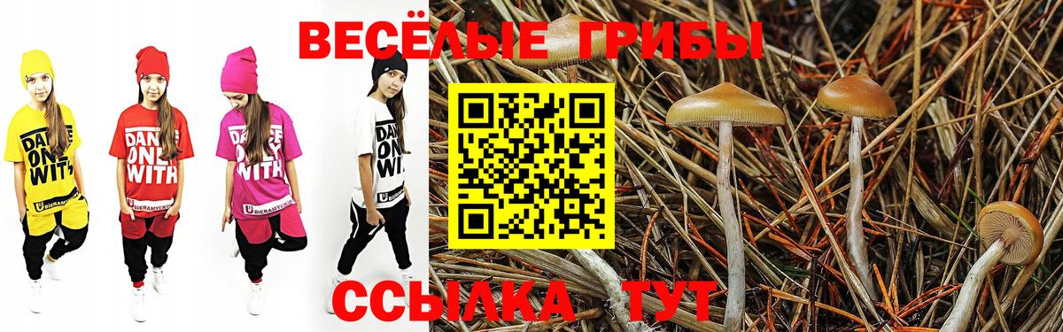 Семёнов  что такое   Вход с VPN  Галлюциногенные грибы Cubensis  Галлюциногенные грибы ЛСД 